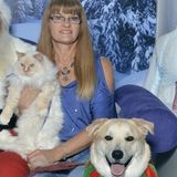 For Hire: Polite Animal Caregiver in Wylie, Texas
