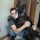 Professional and caring PetSitter seeking job opportunities in Jackson County or surrounding area.