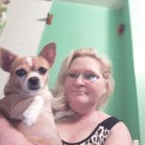 Loving caring petsitter with over 20yrs exper