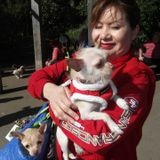 Home and Cat Sitter in San Bruno Millbrae SSF