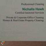 Professional Cleaner