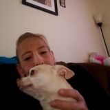 Polite Animal Caregiver in Auburn