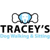 For Hire: Dog Walker Check-ins Cat Sitting/Dog Sitting clients home Professional in Medford Fully Insured & Bonded