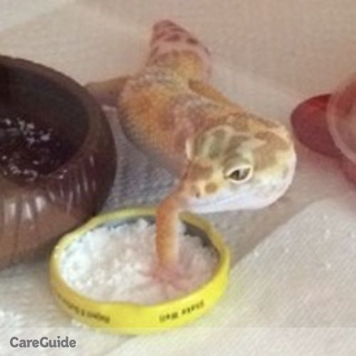 Pet Care Provider Patrice H's Profile Picture