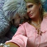 Gaffney pet sitter and groomer Looking For Job Opportunities