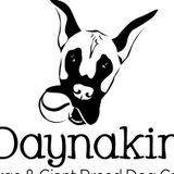 Specialized boarding for large and giant breed dogs