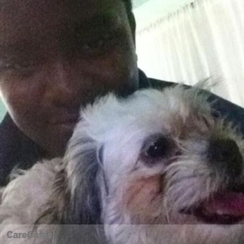 Pet Care Provider Kameron S's Profile Picture