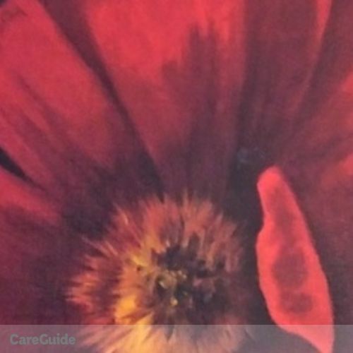 Pet Care Provider Lynne N's Profile Picture