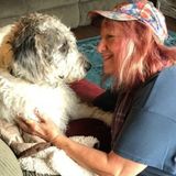 For Hire: AFFORDABLE AND LOVING PET SITTING/WALKING