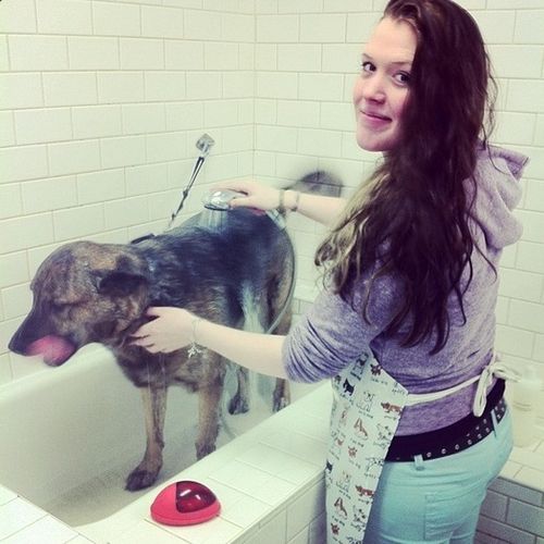 Pet Care Provider Sarah D's Profile Picture