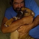 Seeking a House Sitting Service Provider Job in Denton