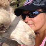 35 Years Experience With All Animals