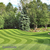 Calgary Lawn Maintenance & Spring Clean Up Specials