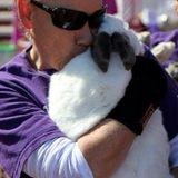 Rescue Rabbits Rock Pet Rabbit sitting