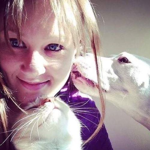 Pet Care Provider Brenda D's Profile Picture