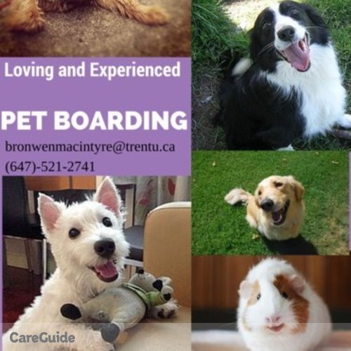 Pet Care Provider Bronwen M's Profile Picture