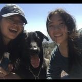 Available: Qualified Pet Sitter, walker, and cleaning in Colton, California and surrounding areas.