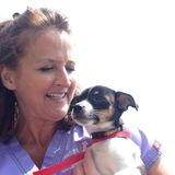 Skilled Pet Care from former Vet Tech!