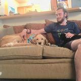 Boise Pet Sitting/Walking/Training Certified Professional Seeking Work in Idaho