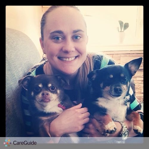 Pet Care Provider Lauren M's Profile Picture