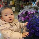 Part-time Nanny/Mother's helper in midtown Toronto