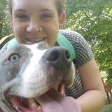 Syracuse Pet Sitter Interviewing For Work