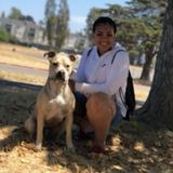 Pet sitting services
