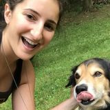 Pet Sitter / Dog Walker Available!