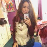Pet Sitting Offered in Tempe