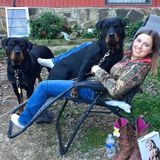 My dogs are my babies, I assume yours are important too!