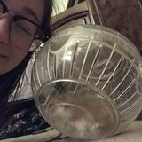 Dedicated Animal caretaker