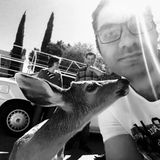 Available: Present Animal Lover in Sunnyvale, California