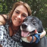 Trustworthy Dependable house sitter