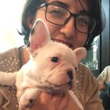 For Hire: Experienced Pet sitter