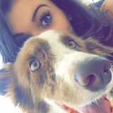 Flexible Dog Sitter/ Dog Walker/ Overnight Sitter, in Los Angeles, California