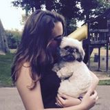 Leominster Dog Trainer Searching for Work in Massachusetts