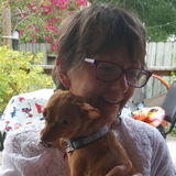 Reliable, Responsible House and Dog Sitter