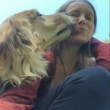 Pet Care Taker
