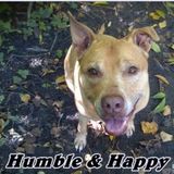 Humble & Happy Home for Furbabies