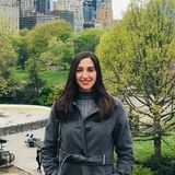 Astoria - Sitter needed for my cat