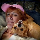 Searching for Alton Dog Sitting Professional Jobs