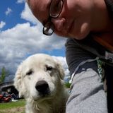 Available: Consistent Dog Walker in Southport NC