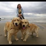 I am looking to help out with any pet care needs. Lover of all animals!