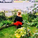 Qualified Housekeeping Service in Verdun