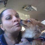 Interviewing For a Pet Service Provider Job in Green Valley