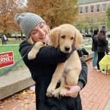 Im a 21 year old living in Champaign for the summer and I would love to play with and look after your furry friends!