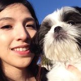 Mountain View Pet Boarding Professional Interviewing For Job Opportunities in Bay Area