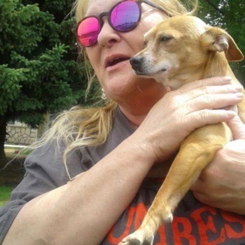 House Sitter Provider Donita Morgan's Profile Picture