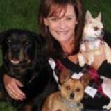 Looking to walk sit, Train, love, groom or snuggle your fur kids! Decades of exp. References avail!