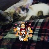 Hardworking Dog, Cat, and/or Reptile Sitting Professional Available Immediately